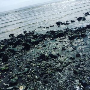 Meet your Posher, Joelle